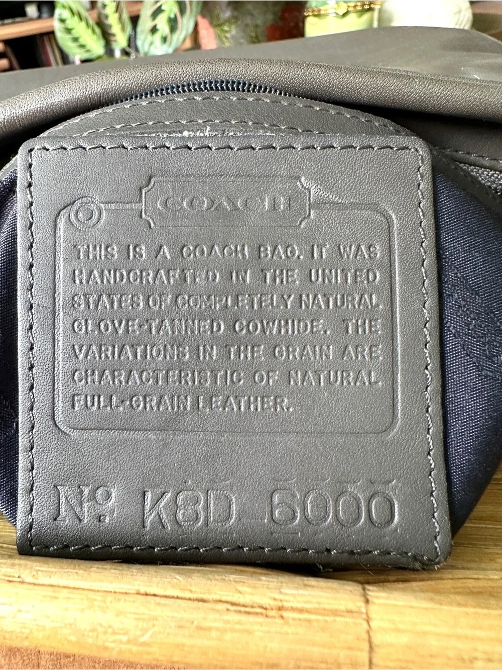 Coach classic late